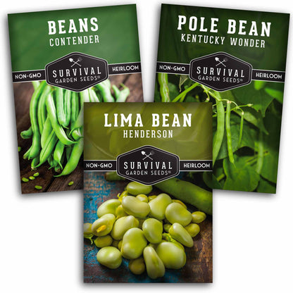 Bean Seed Collection - 3 Prolific Varieties