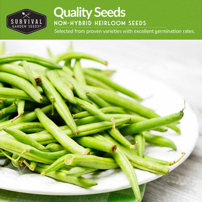 Bean Seed Collection - 3 Prolific Varieties