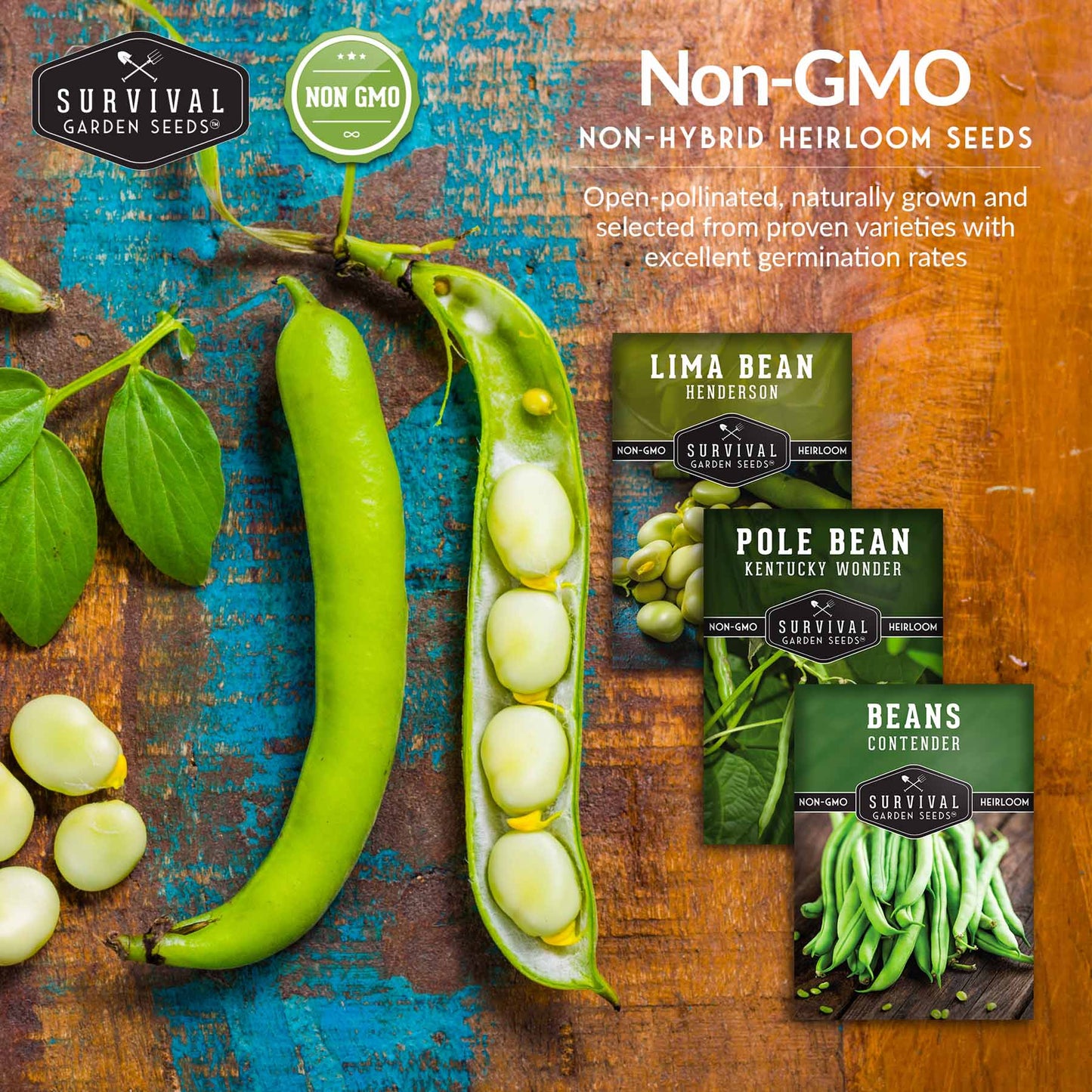 Bean Seed Collection - 3 Prolific Varieties
