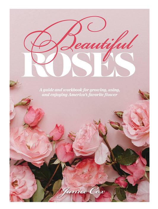 Beautiful Roses