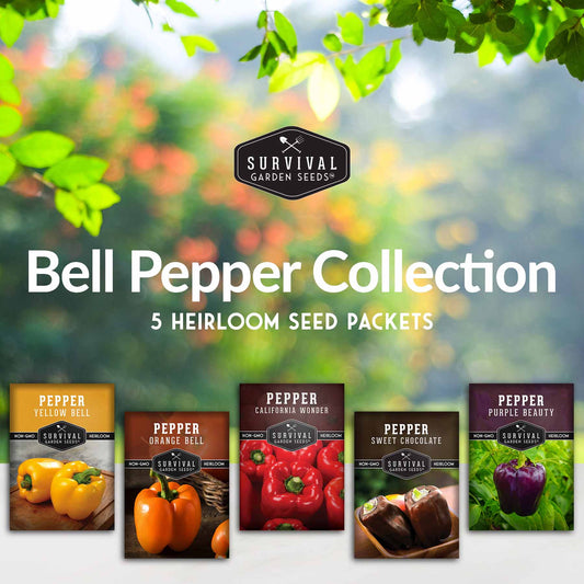 Bell Pepper Seed Collection - 5 Sweet Bell Peppers