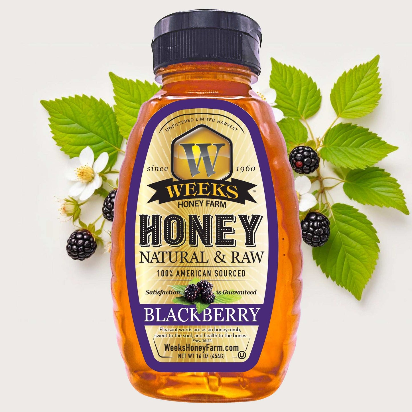 South Georgia Raw Blackberry Honey - Pure, Local, Mono-Floral Raw Honey