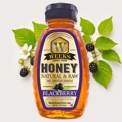 South Georgia Raw Blackberry Honey - Pure, Local, Mono-Floral Raw Honey