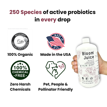 Bloom Juice Award-Winning Formula