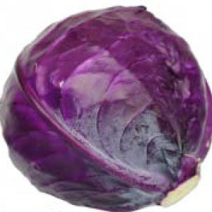 CABBAGE Seeds, Red Acre