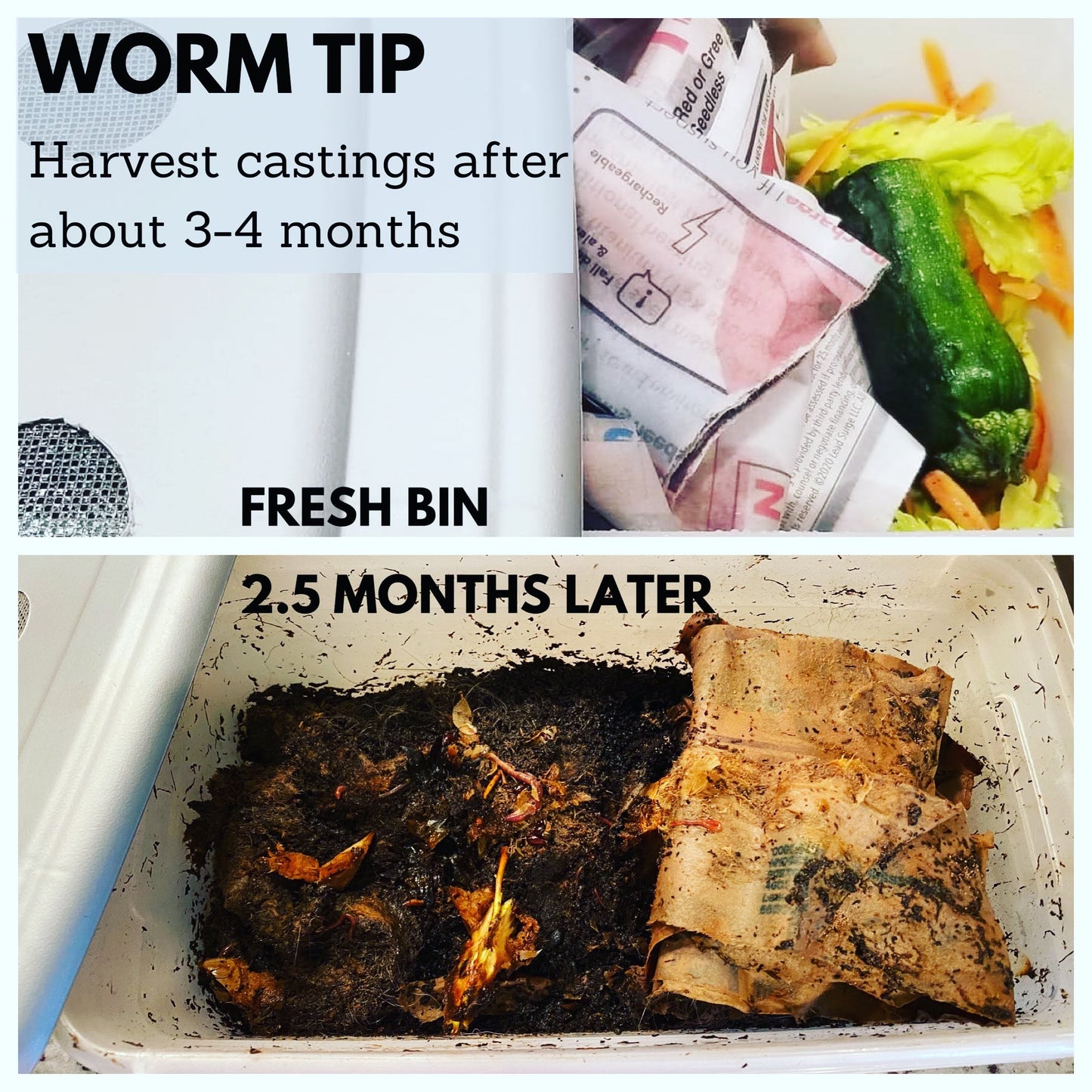 Under the Counter Worm Bin Starter Bundle by Elm Dirt