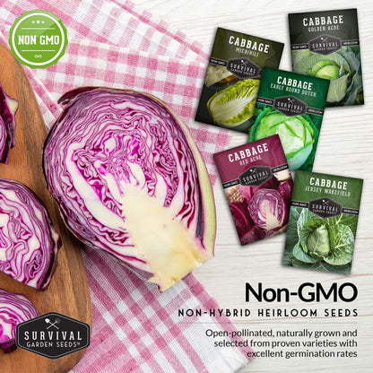 Cabbage Seed Collection - Red Acre, Golden Acres, Jersey Wakefield, Early Round Dutch & Michihili (Napa)