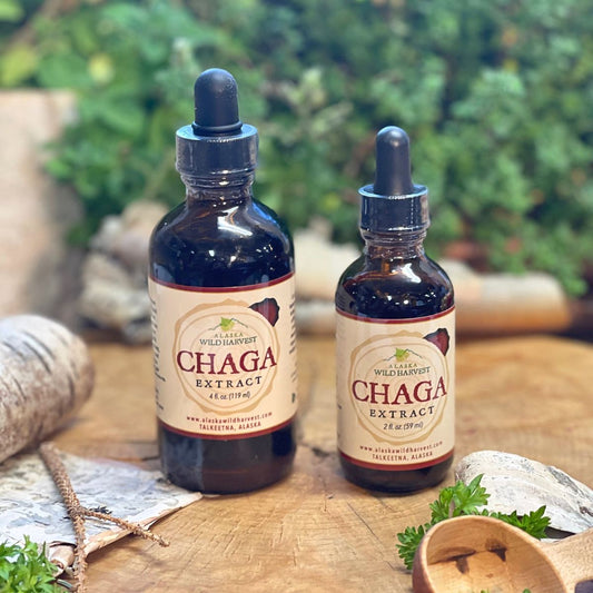 Chaga Extract from Alaska Wild Harvest