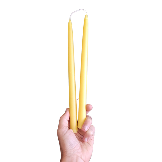 Classic Taper Beeswax Candles by Foxhound Bee Company