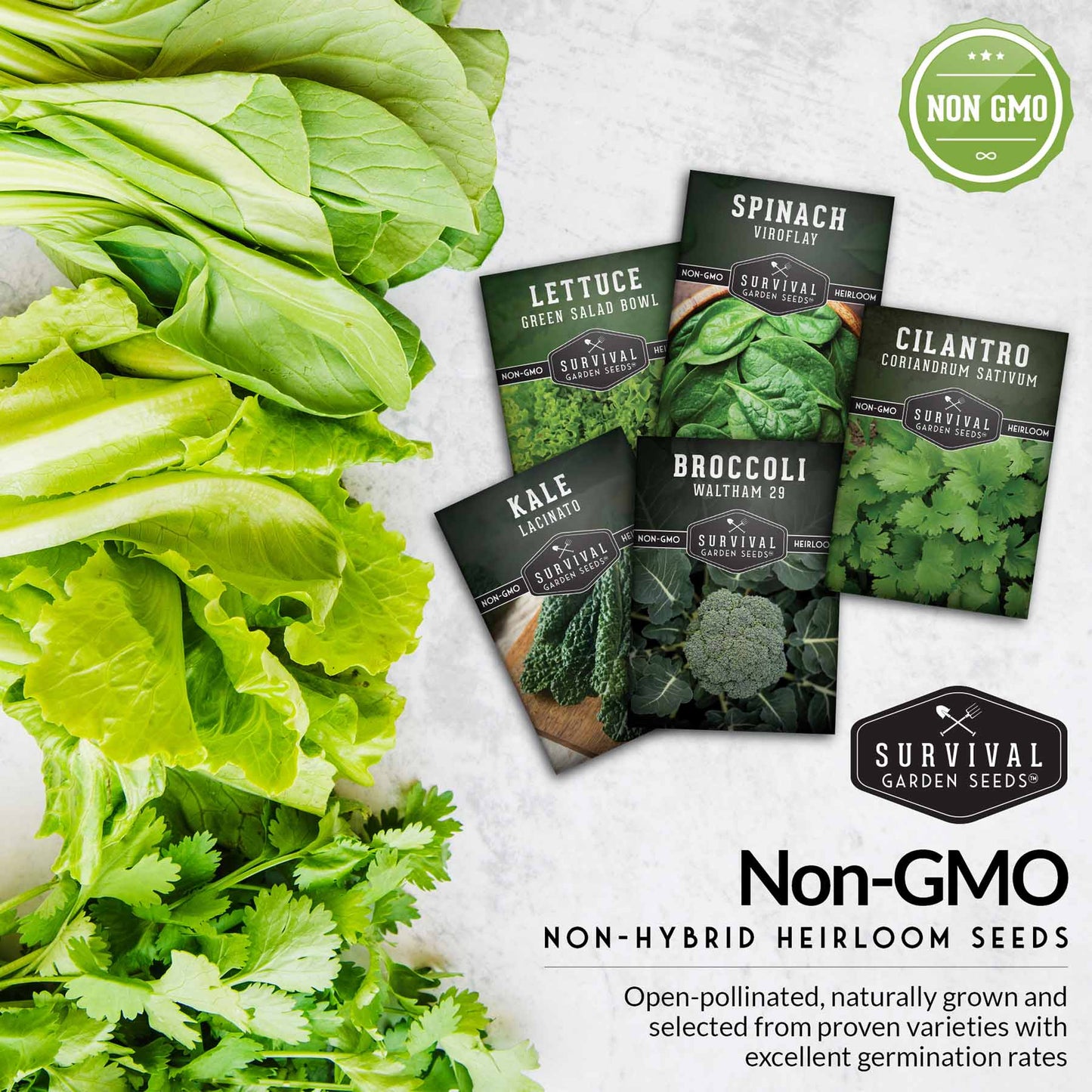 Cool Weather Vegetable Seed Collection - Spinach, Kale, Cilantro, Broccoli, and Leaf Lettuce