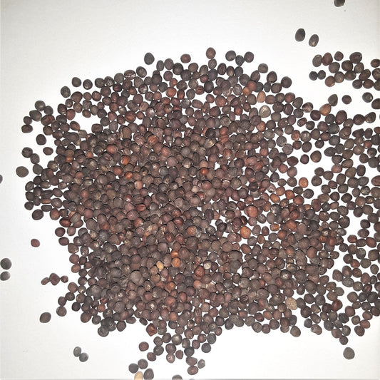 Collard Greens, Vates Heirloom Seeds