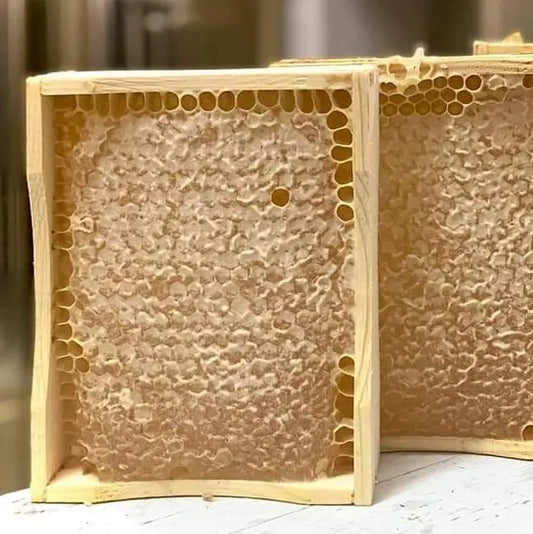 Comb Honey Cassettes by Foxhound Bee Company