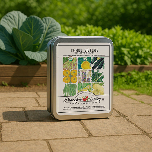 Gift Seed Tin - Three Sisters Collection