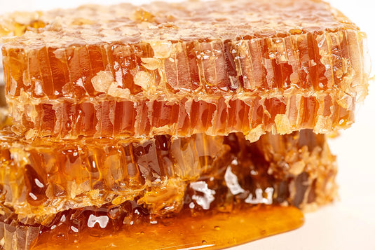 Raw Honeycomb by Register Family Farm