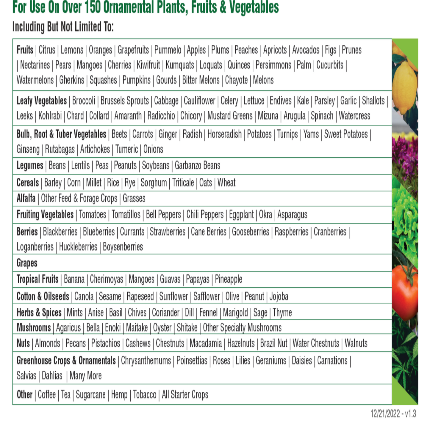 Debug Turbo 1QT Bottle Organic Use Pesticide