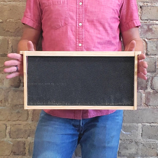 Deep 9 1/8-Inch Langsroth Frame, Grooved Top / Grooved Bottom With Double Wax Foundation, image 2 of 12