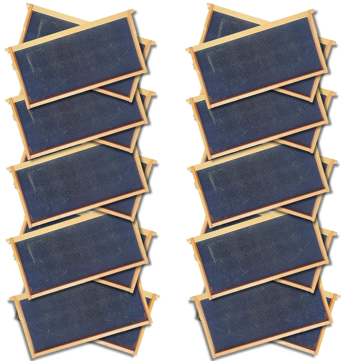 Deep 9 1/8-Inch Langsroth Frame, Grooved Top / Grooved Bottom With Double Wax Foundation, image 10 of 12