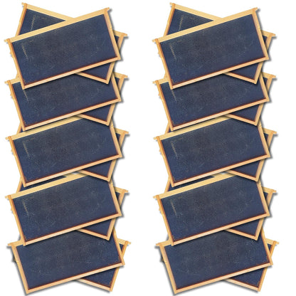 Deep 9 1/8-Inch Langsroth Frame, Grooved Top / Grooved Bottom With Double Wax Foundation