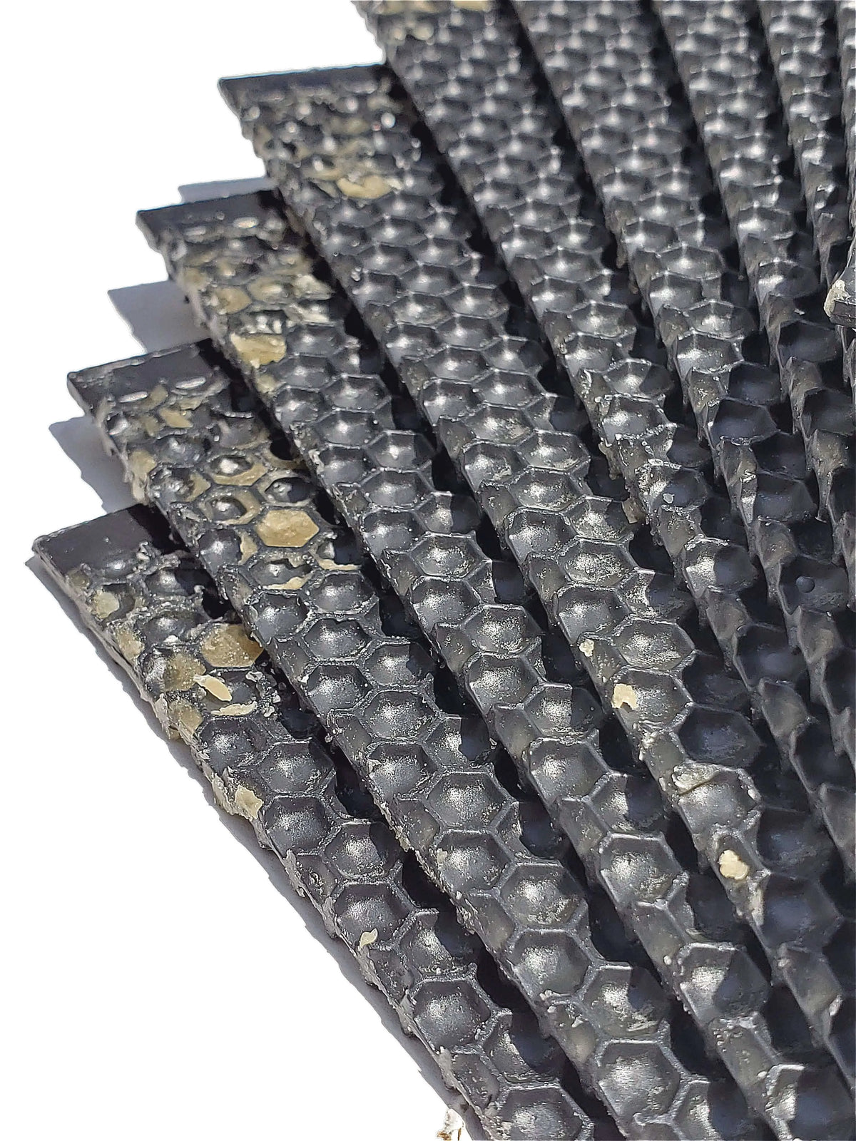 Deep, Black Plastic Foundation with Double Beeswax, image 7 of 7