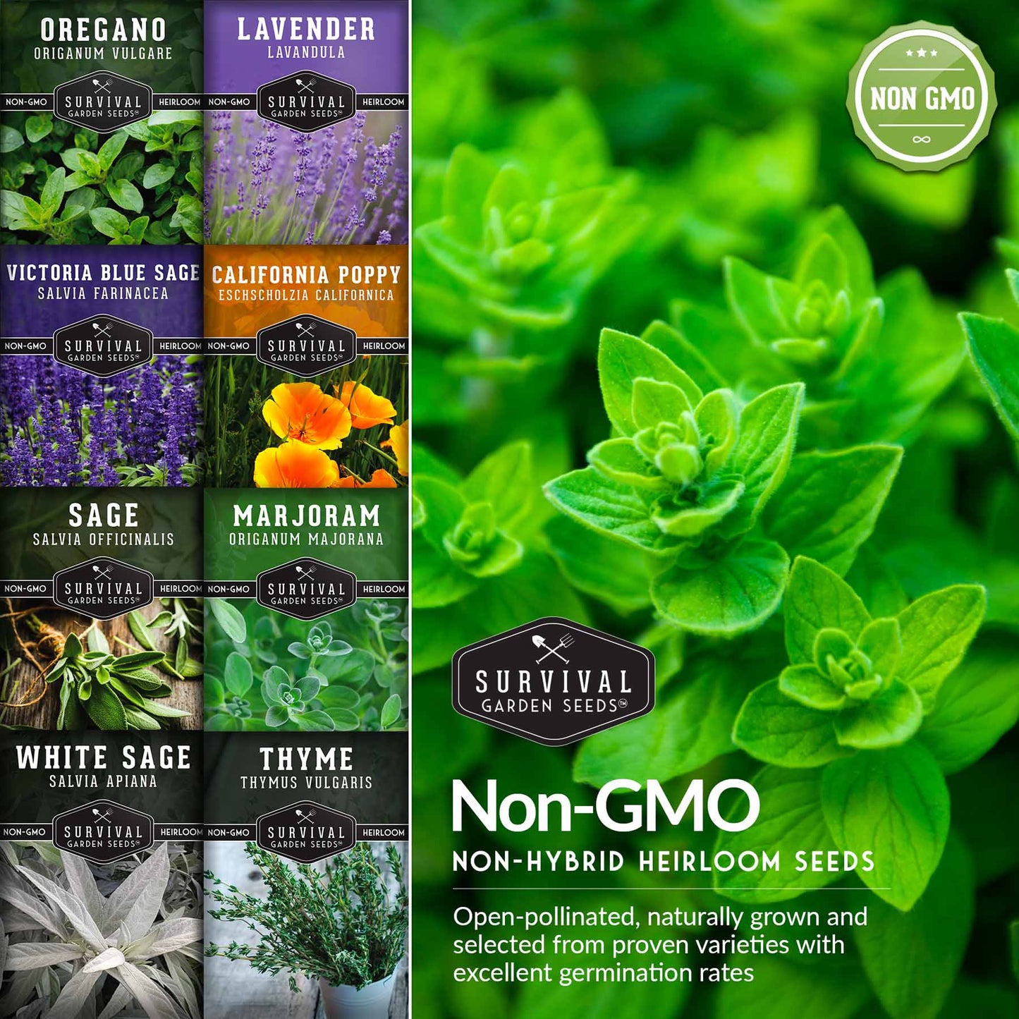 Drought Tolerant Seed Collection - 8 Hardy Herbs and Flowers