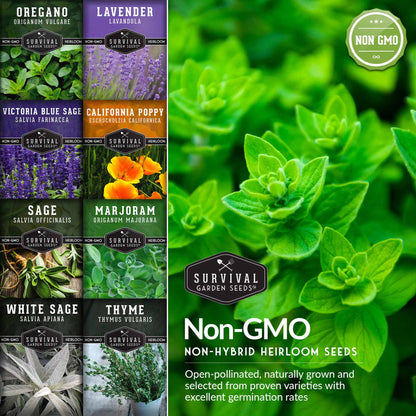 Drought Tolerant Seed Collection - 8 Hardy Herbs and Flowers