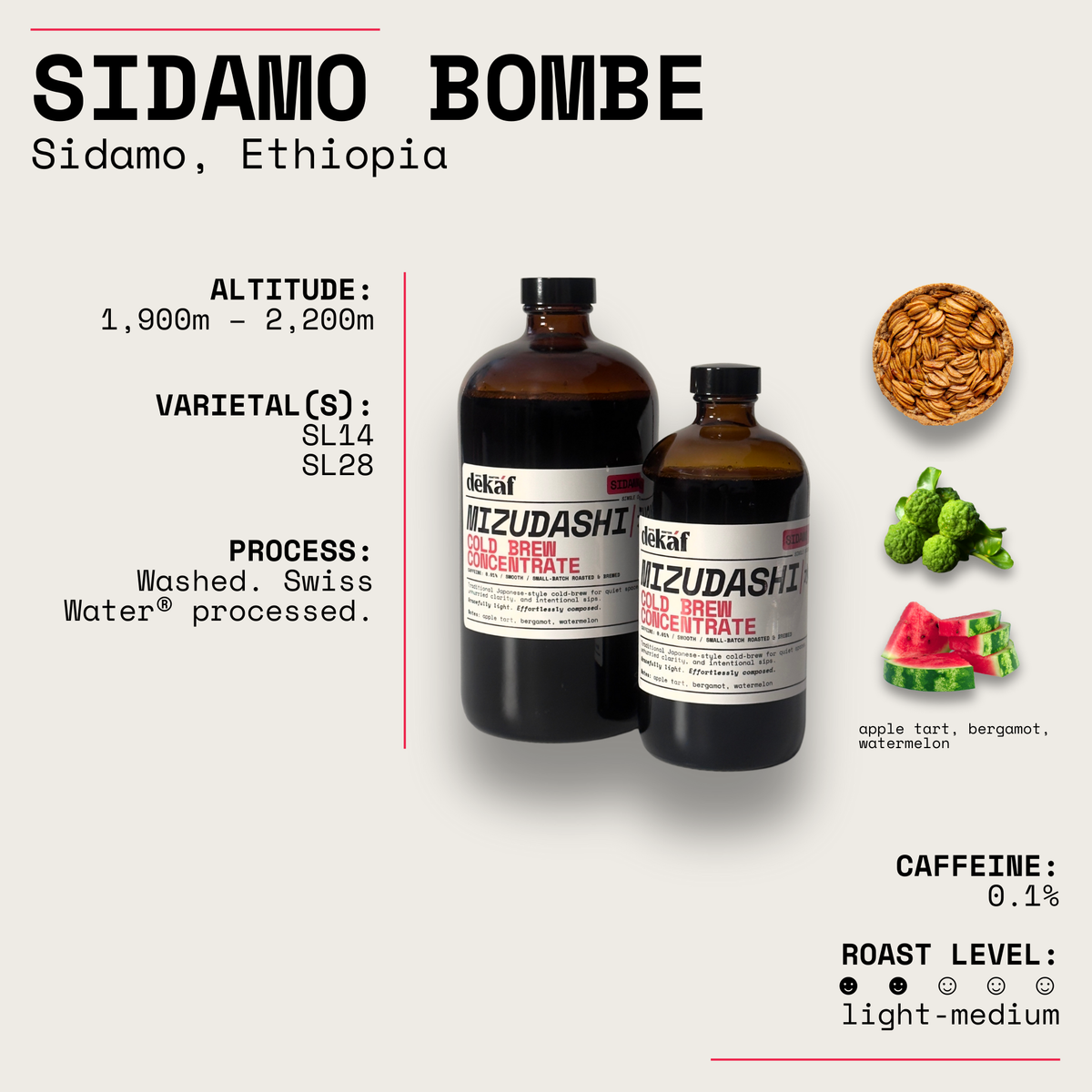 Ethiopia Sidamo Bombe Mizudashi Cold Brew Concentrate, image 2 of 2