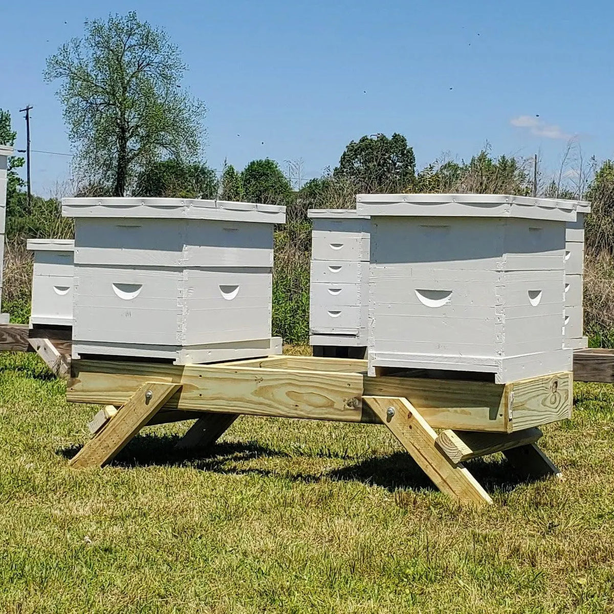 Folding Three Hive Stand, image 2 of 6