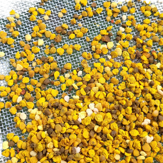 Fresh Birmingham Bee Pollen by Foxhound Bee Company
