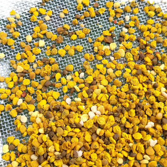 Fresh Birmingham Bee Pollen by Foxhound Bee Company