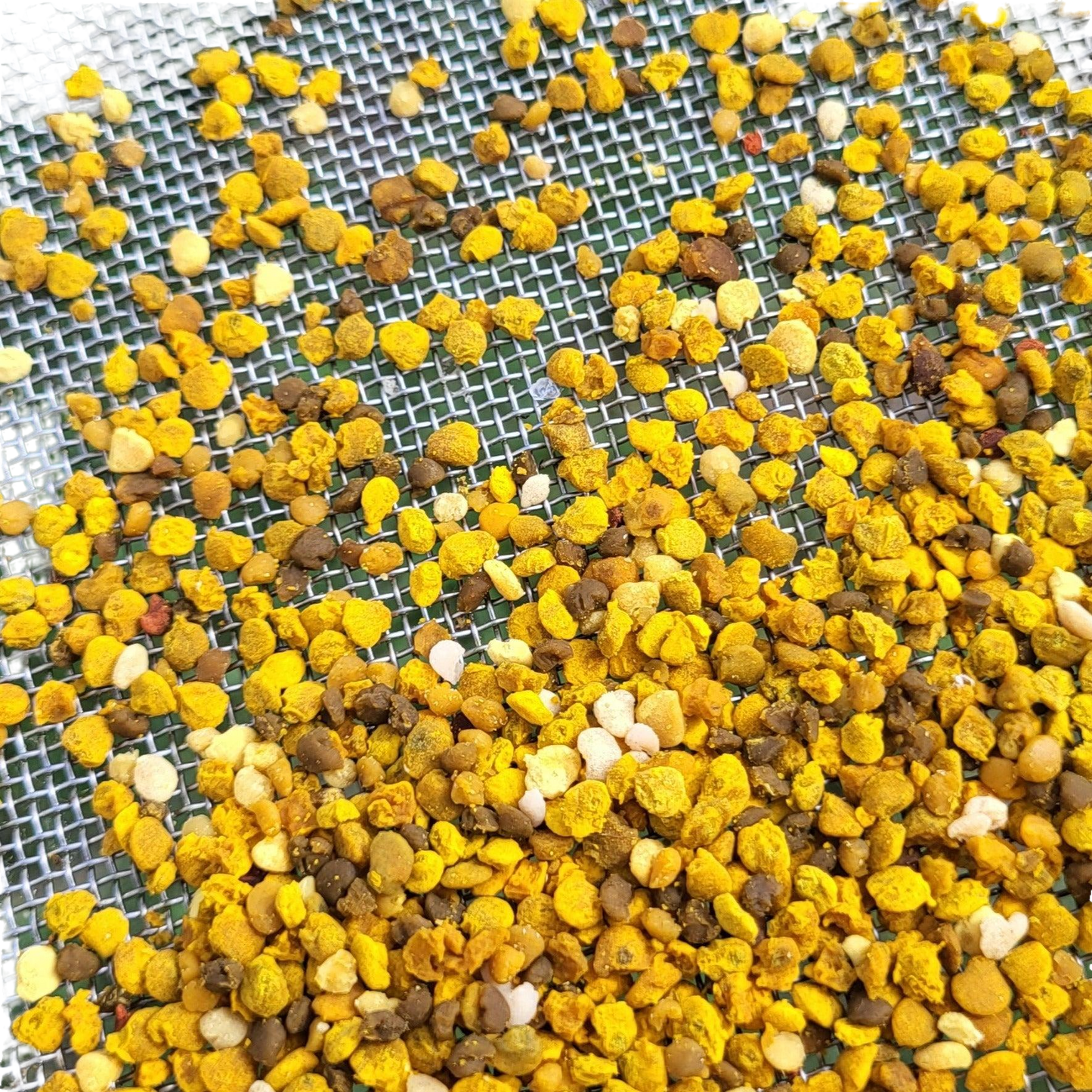 Fresh Birmingham Bee Pollen
