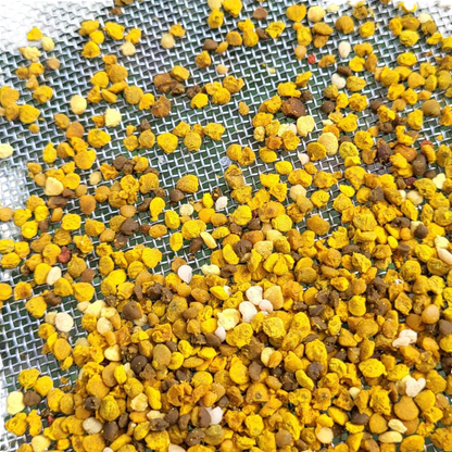 Fresh Birmingham Bee Pollen