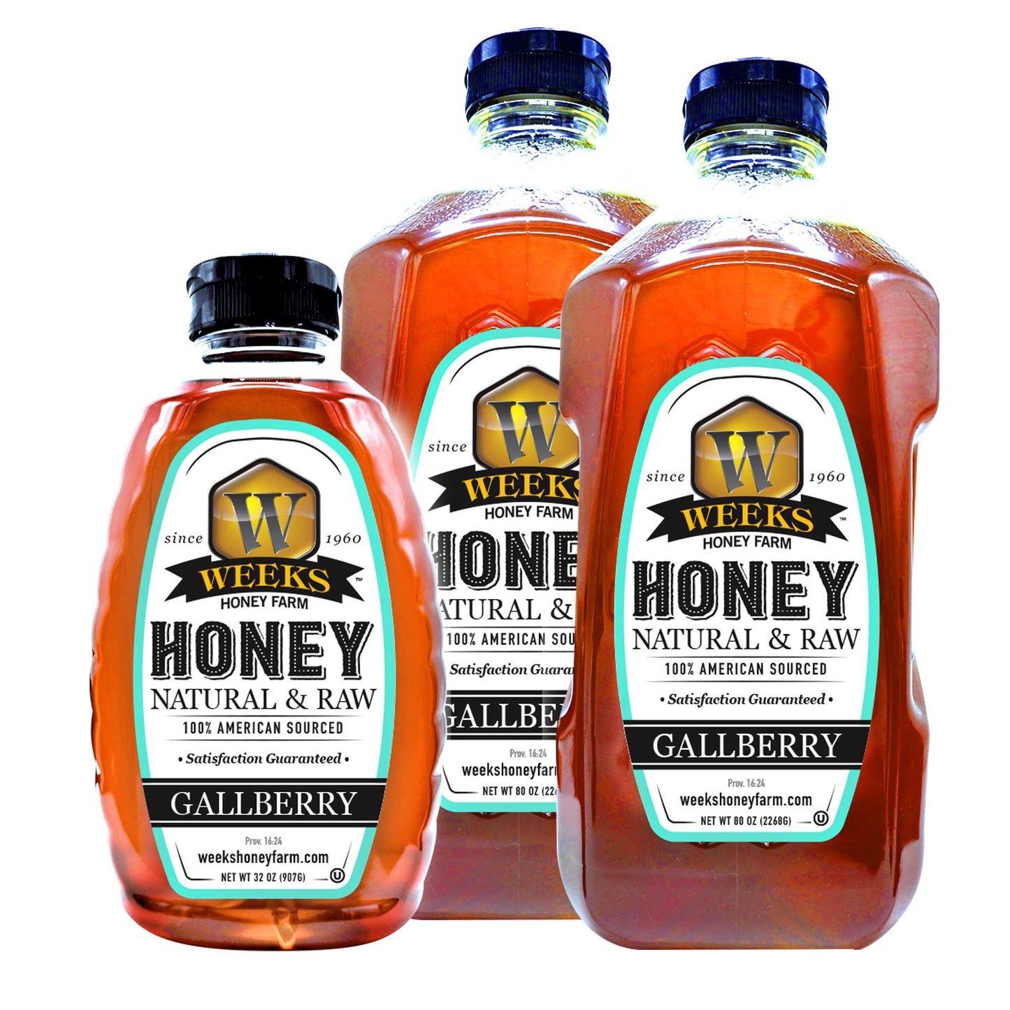Our Best All-Natural Pure Raw Gallberry Honey