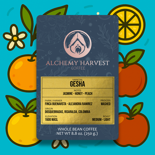 Gesha - Washed