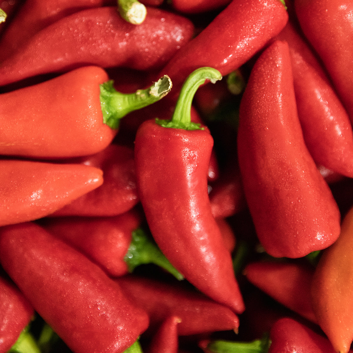 Fresno & Thai Spicy Chili Jam