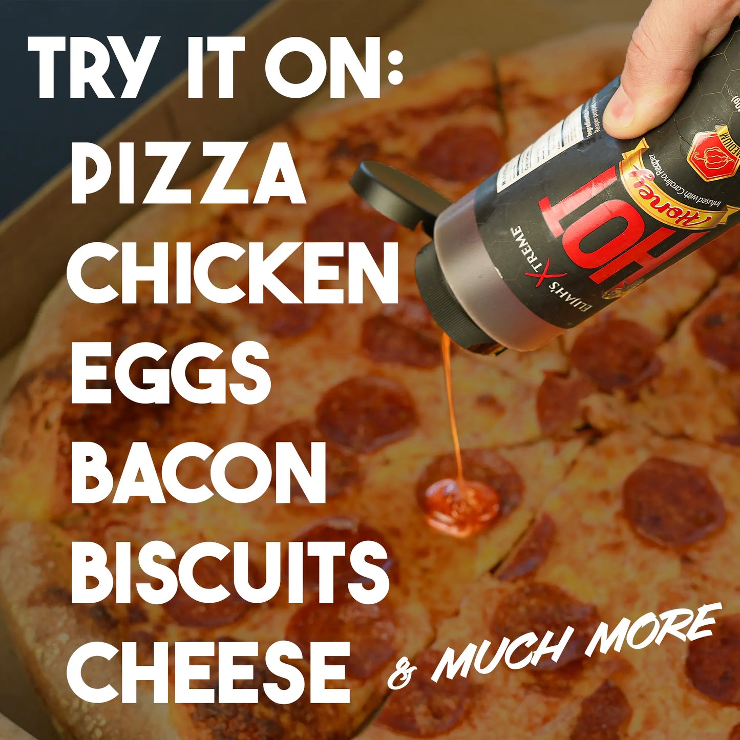 Entire Collection 12 Pack Variety