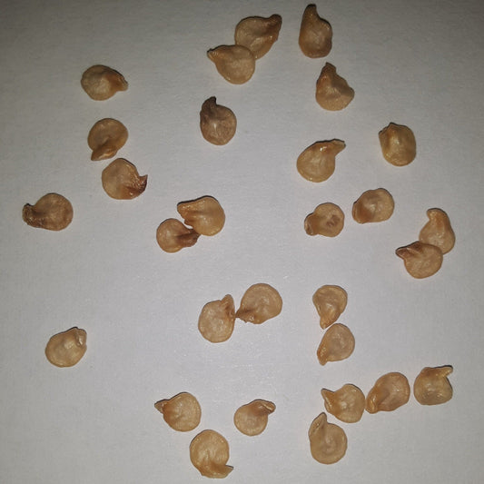 Cayenne Long Slim Hot Pepper Seeds