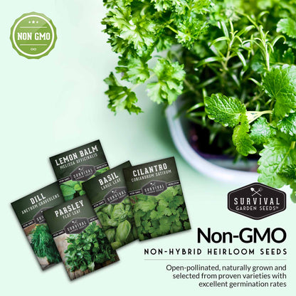 Herb Collection - Basil, Cilantro, Dill, Lemon Balm, Parsley