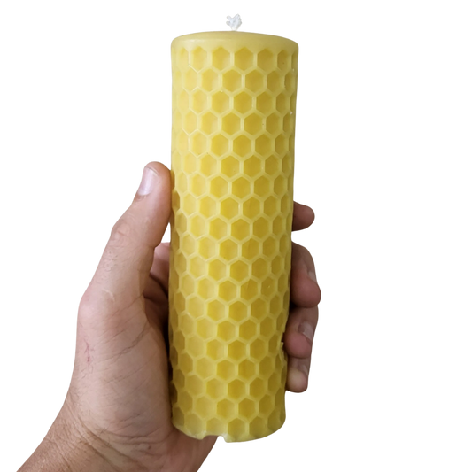 Honey Comb Beeswax Candle by Foxhound Bee Company