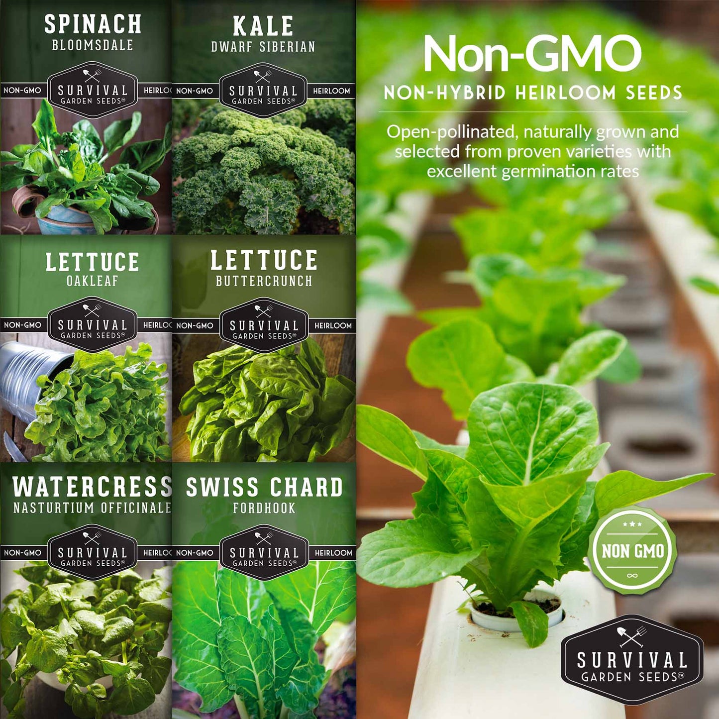 Hydroponic Vegetable Seed Collection