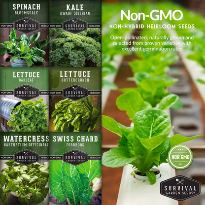 Hydroponic Vegetable Seed Collection