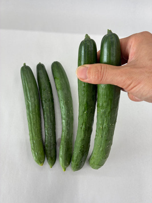 Kyuri (Japanese Cucumber) | Suzuki Farm | 3 pc **+ 2 pc**