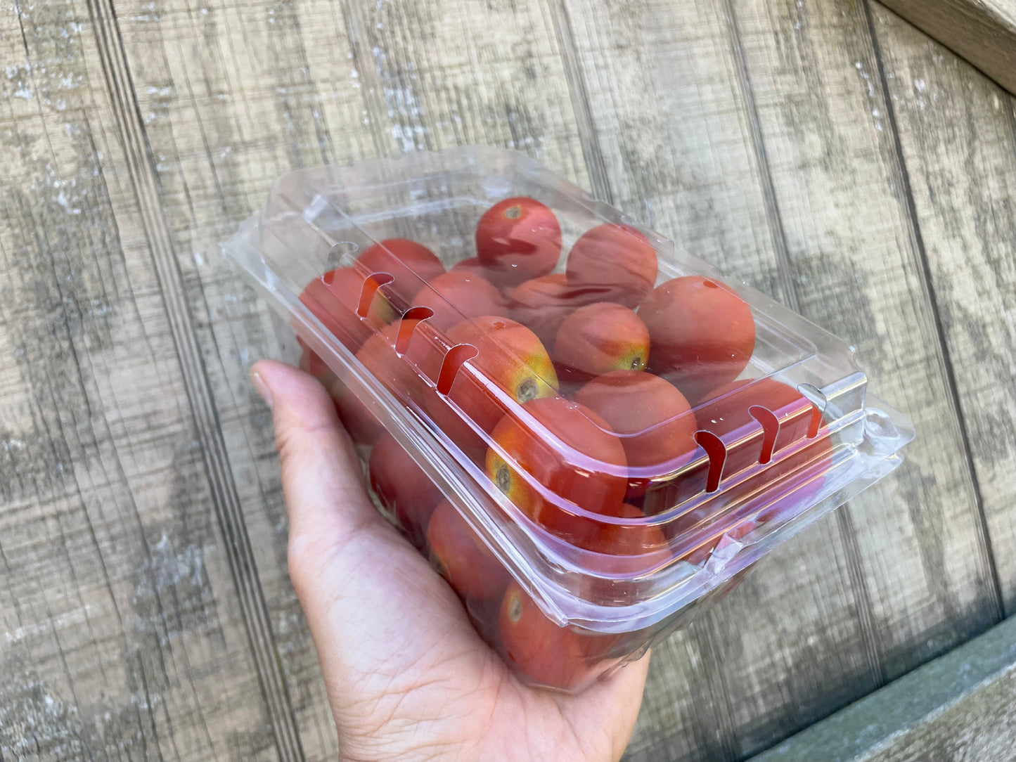 Cherry Tomato (L) | Suzuki Farm | 1.5 lb
