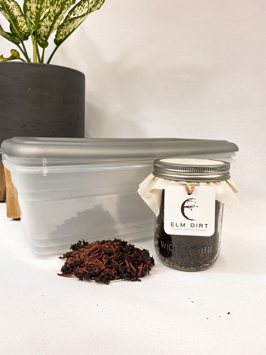 Under the Counter Worm Bin Starter Bundle by Elm Dirt