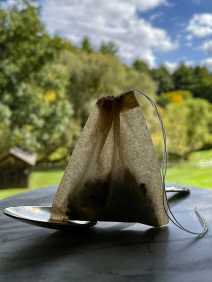 Cacao Tea