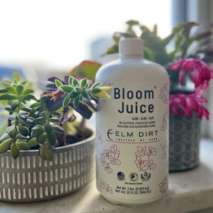 Bloom Juice - Our Award-Winning Formula for Spectacular Flowers