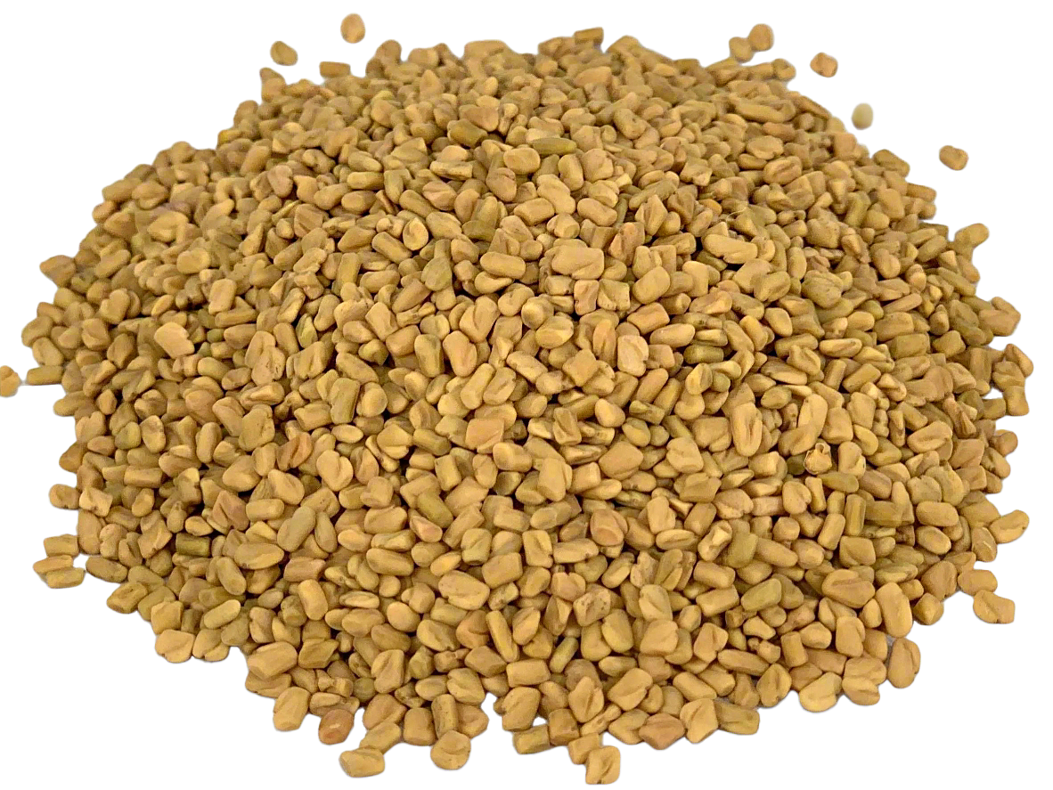 Fenugreek Seed, Whole