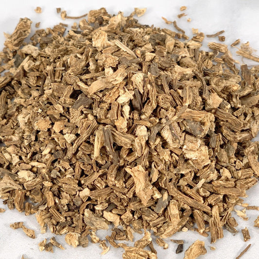 Angelica Root