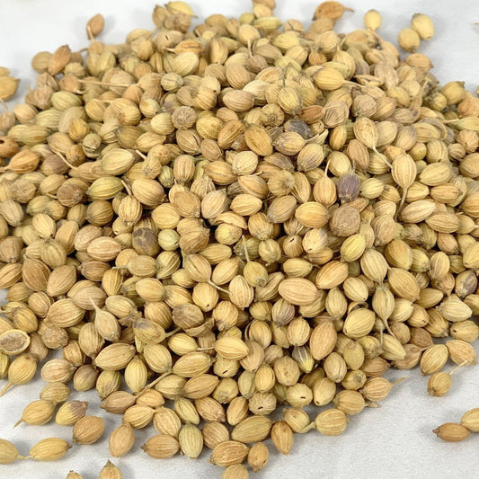 Coriander Seed, Indian Whole