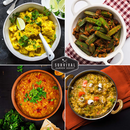 Indian Vegetable Collection - Basil, Cauliflower, Cilantro, Cowpeas, Eggplant, Fennel, Fenugreek, Onion, Pepper, Spearmint