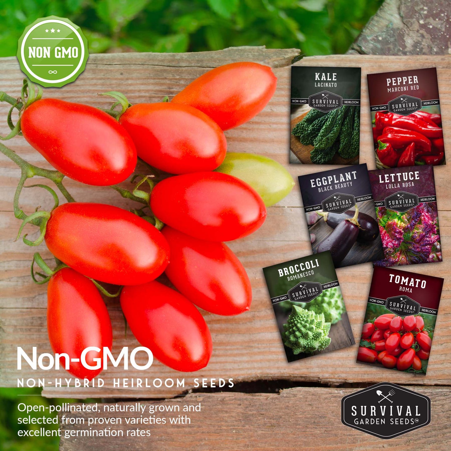 Italian Collection - Romanesco Broccoli, Black Beauty Eggplant, Lacinato Kale, Lolla Rossa Lettuce, Marconi Red Pepper, Roma Tomato